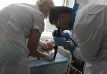 полето