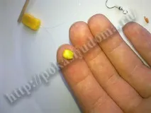волосіні
