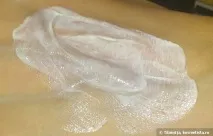 suncare suncare