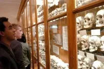 Музей медичної історії Мюттера (40 фото) - Приколи на - купа фото, відео, флеш приколів, медичної