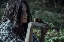 Моя» Маріам Петросян у Сфінкса тепер все по-іншому, Dalma News петросян
