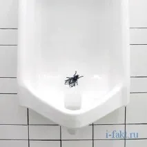 влучність