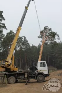 Чи можна спалювати сміття на своїй ділянці спалювати