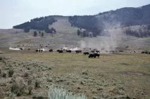 Національний парк Єллоустоун, США Єллоустоун