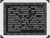 На виставці експерти називали його не інакше, як «досконалість, Презентація 185454-13 називали