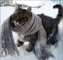 трябва построи