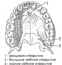 небната