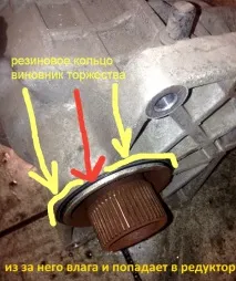 четирите hyundai