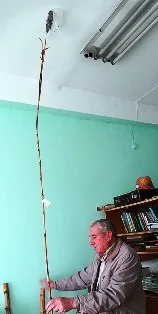 Зверніть увагу сорго! Онлайн Журнал про Бізнес у Молдові сорго