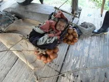 носене целия