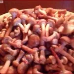медени медени