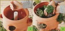 Город у саду город