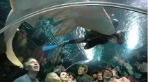 Океанаріум (Астана) опис, адреса, режим роботи адреса