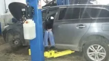 avensis