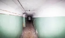Вони побачили у лісі 2 труби вони