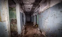 Вони гуляли лісом і побачили ці труби побачили