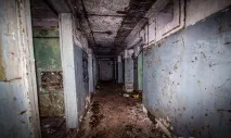 Вони побачили у лісі 2 труби побачили