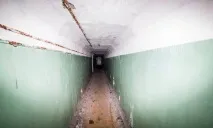 Вони гуляли лісом і побачили ці труби побачили