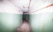 Вони побачили у лісі 2 труби вони