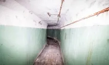 Вони гуляли лісом і побачили ці труби побачили
