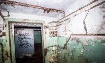 Вони гуляли лісом і побачили ці труби лісом