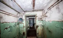 Вони побачили у лісі 2 труби побачили