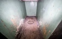 Вони гуляли лісом і побачили ці труби гуляли