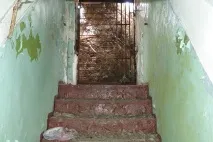 Вони побачили у лісі 2 труби побачили
