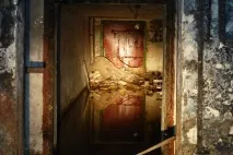 Вони побачили у лісі 2 труби вони