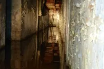 Вони гуляли лісом і побачили ці труби вони