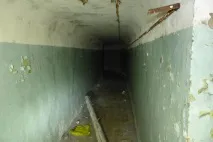 Вони гуляли лісом і побачили ці труби гуляли