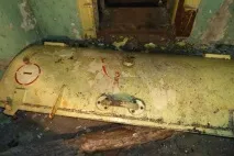 Вони гуляли лісом і побачили ці труби гуляли