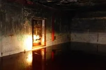 Вони побачили у лісі 2 труби труби