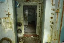 Вони гуляли лісом і побачили ці труби вони