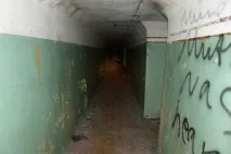 Вони гуляли лісом і побачили ці труби вони