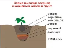 инструкции инструкции употреба