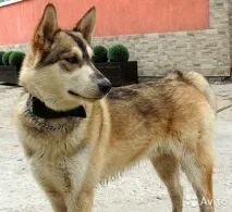 описание