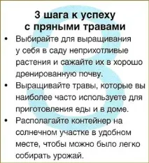 Город у саду саду