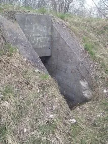 Вони гуляли лісом і побачили ці труби лісом