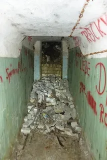 Вони побачили у лісі 2 труби труби