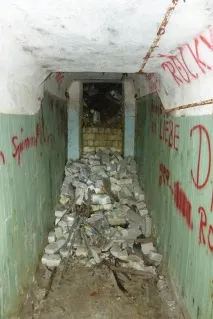 Вони гуляли лісом і побачили ці труби гуляли