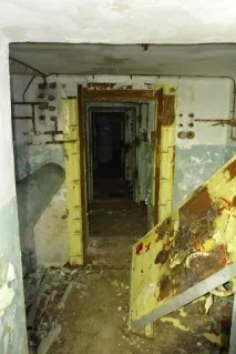 Вони гуляли лісом і побачили ці труби вони