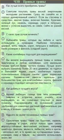градина вътрешен двор