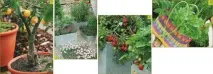 Город у саду город