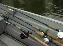 rapala