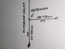 характеристики Долна структура