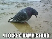 булката колко