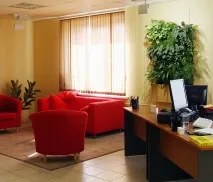 Озеленення офісів компанії