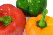 сорта pepper