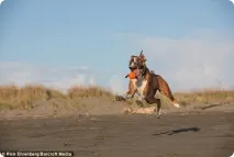 чарли чарли